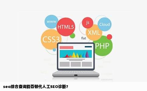 seo综合查询能否替代人工SEO诊断？