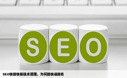 SEO快排快排技术原理，为何能快速排名