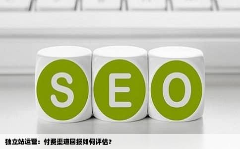 独立站运营：付费渠道回报如何评估？