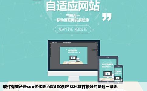 软件有效还是seo优化呢百度SEO排名优化软件最好的是哪一家呢