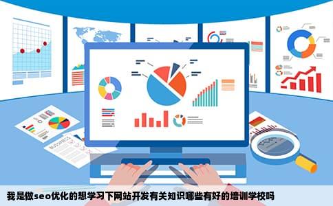 我是做seo优化的想学习下网站开发有关知识哪些有好的培训学校吗