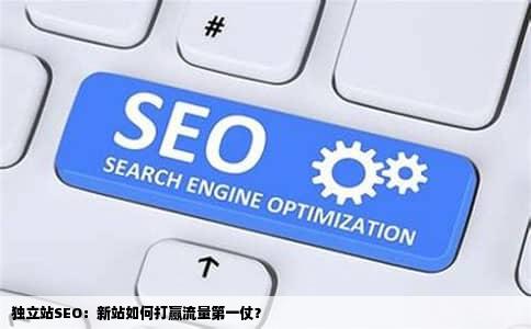 独立站SEO：新站如何打赢流量第一仗？