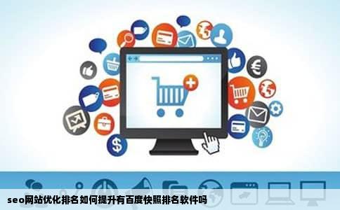 seo网站优化排名如何提升有百度快照排名软件吗