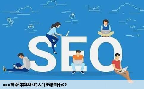seo搜索引擎优化的入门步骤是什么？