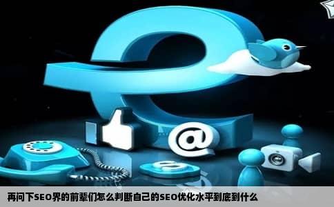 再问下SEO界的前辈们怎么判断自己的SEO优化水平到底到什么