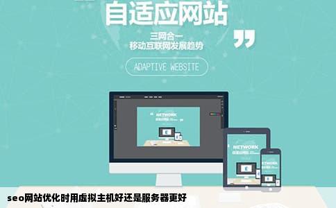 seo网站优化时用虚拟主机好还是服务器更好