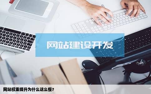 网站权重提升为什么这么慢？
