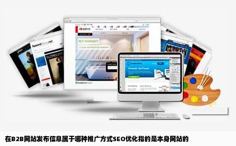 在B2B网站发布信息属于哪种推广方式SEO优化指的是本身网站的