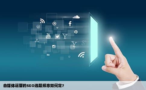 自媒体运营的SEO选题频率如何定？