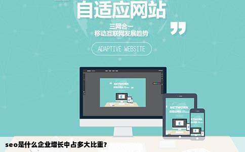 seo是什么企业增长中占多大比重？