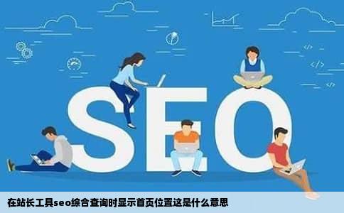 在站长工具seo综合查询时显示首页位置这是什么意思