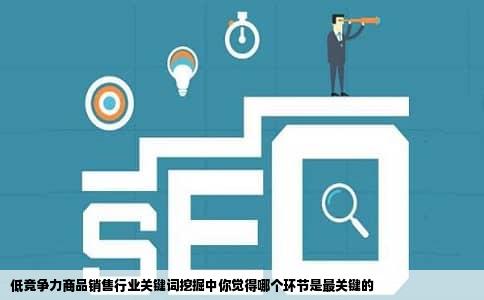 低竞争力商品销售行业关键词挖掘中你觉得哪个环节是最关键的