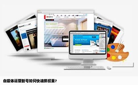 自媒体运营新号如何快速攒权重？