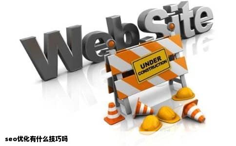 seo优化有什么技巧吗