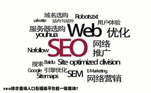 seo综合查询入口在哪些平台能一键查询？