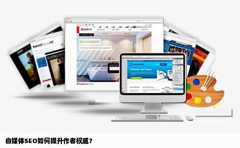 自媒体SEO如何提升作者权威？
