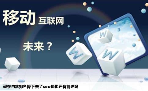 现在自然排名降下去了seo优化还有前途吗