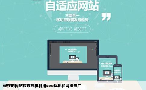 现在的网站应该怎样利用seo优化和网络推广