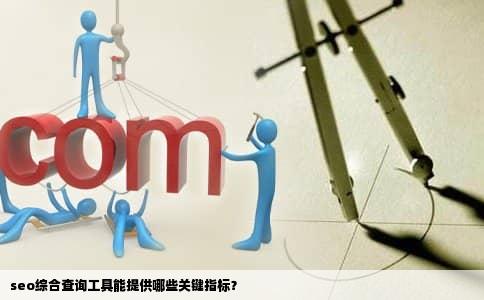 seo综合查询工具能提供哪些关键指标？