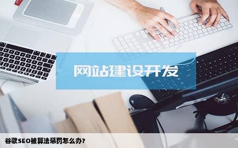 谷歌SEO被算法惩罚怎么办？