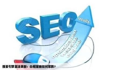 搜索引擎算法更新：白帽策略如何常胜？