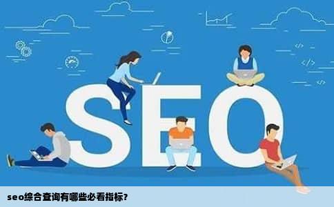 seo综合查询有哪些必看指标？