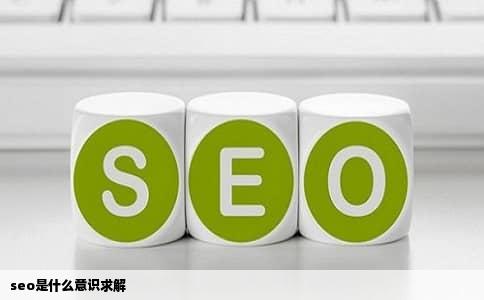 seo是什么意识求解