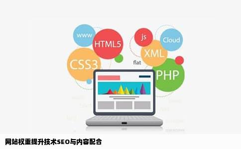 网站权重提升技术SEO与内容配合