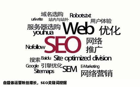 自媒体运营粉丝增长，SEO关键词挖掘