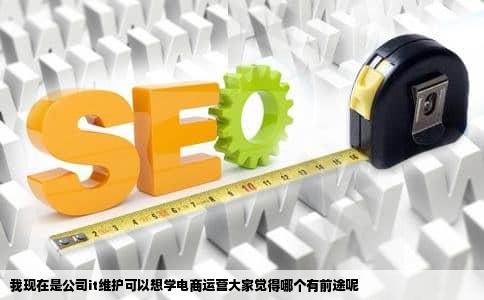 我现在是公司it维护可以想学电商运营大家觉得哪个有前途呢