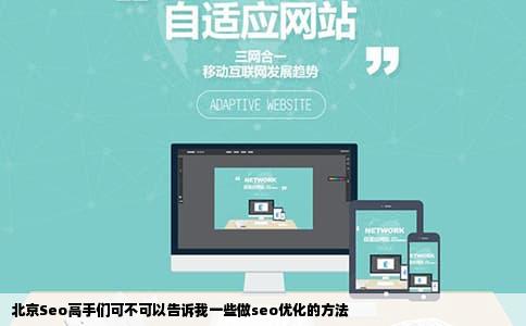 北京Seo高手们可不可以告诉我一些做seo优化的方法