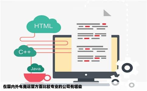 在国内外电商运营方面比较专业的公司有哪些