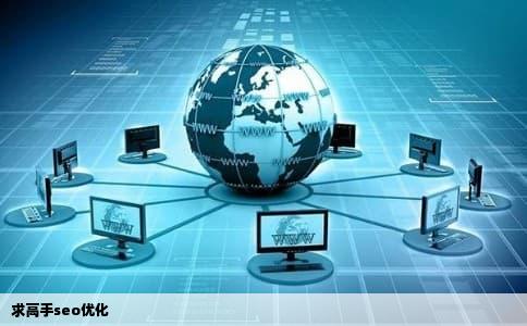求高手seo优化