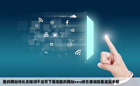 我的网站优化关键词不会写下面是我的网站seo综合查询结果请高手帮