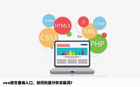 seo综合查询入口，如何批量分析关键词？