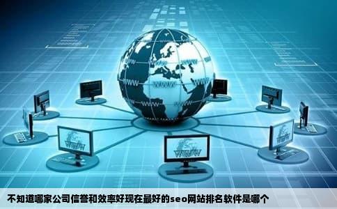不知道哪家公司信誉和效率好现在最好的seo网站排名软件是哪个
