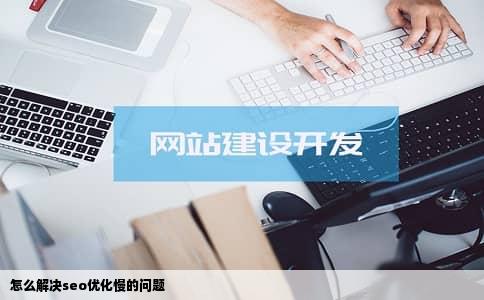 怎么解决seo优化慢的问题