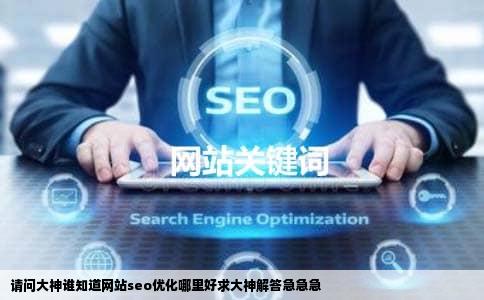 请问大神谁知道网站seo优化哪里好求大神解答急急急