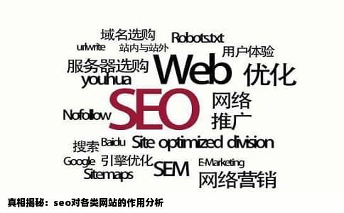 真相揭秘：seo对各类网站的作用分析