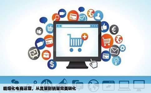 精细化电商运营，从流量到销量完美转化