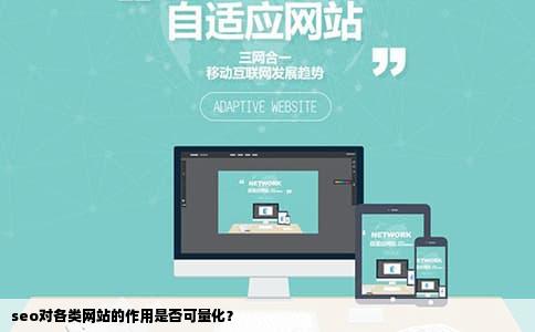 seo对各类网站的作用是否可量化？